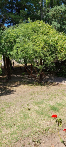 Imagen 7 de 19 de Venta Hermosa Finca Con Vivienda