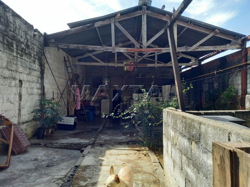 Imagem 6 de 15 de Imóvel Em Santana Com Salão, Terreno Plano De 8x53m² (424m²) (comercial) Perto Da Braz Leme - Mi85197