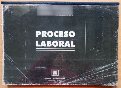 Proceso Laboral Emma Stipanicic Gabriel Valentin