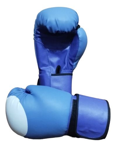 Guantes Boxeo Profesional 