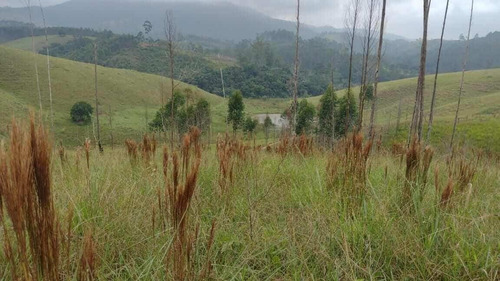 Imagem 10 de 10 de G19 -terrenos Em Santa Isabel ! Com Preço Que Cabe No Seu Bolso !!