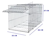 Comprar Armadilha Gatoeira Grande Transportar Gatos Porta Automática