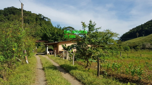 Imagem 14 de 30 de Juquiá/sitio Com Pupunha/ Pasto E 05 Lagos Para Pesqueiro - 04857 - 34121206