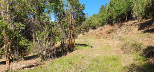 Parcela 5000 M2 En Potrero Alto, Valdivia.