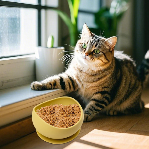 Tazón Para Mascotas De Silicona Tazón De Comida Para Gatos D