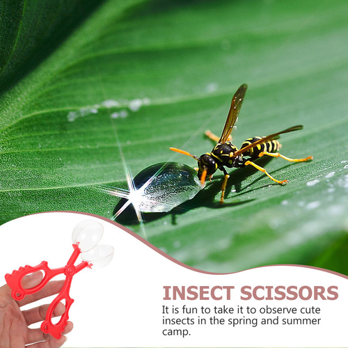 Herramientas Para Niños, Juguetes Para Insectos, Tijeras Par