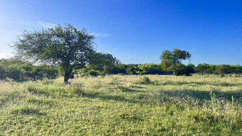 Lote De 1 Hectarea En San José Barrio Perucho