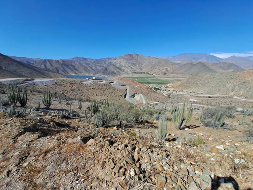 Terreno De 5.000 M2. Sector Los Algodones