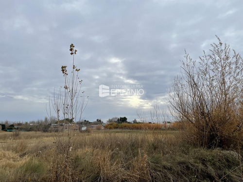 Imagen 7 de 9 de Venta - Lote En Stefenelli - 3300 M2