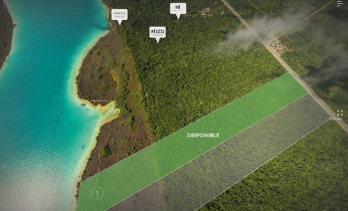 Terreno En Bacalar Frente A La Laguna 10 Hectáreas