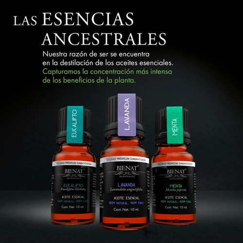 Kit De 3 Aceites Esenciales - Favoritos