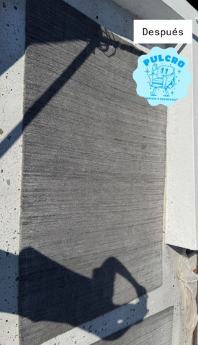 Limpieza De Alfombras Y Sillones A Domicilio En Caba