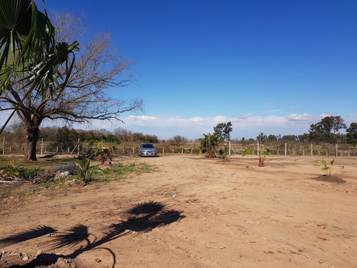Imagen 2 de 8 de Lote Barrio Abierto En Villanueva, Tigre.