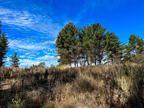 Sitio En Venta En Loteo Fundo Boyeruca, Comuña Vichuquén