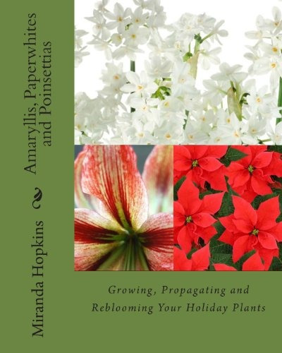 Amaryllis, Paperwhites And Poinsettias Growing, Propagating 