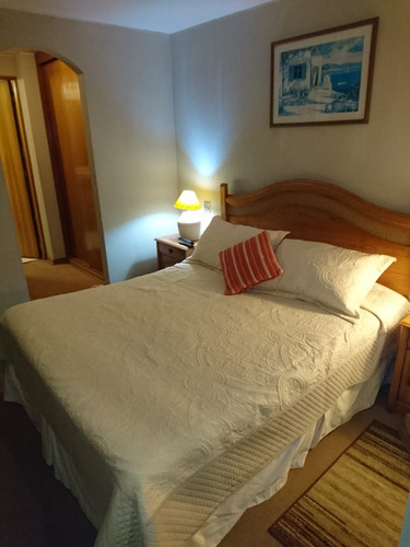 Arriendo Departamento Amoblado Año Corrido Con Vis...