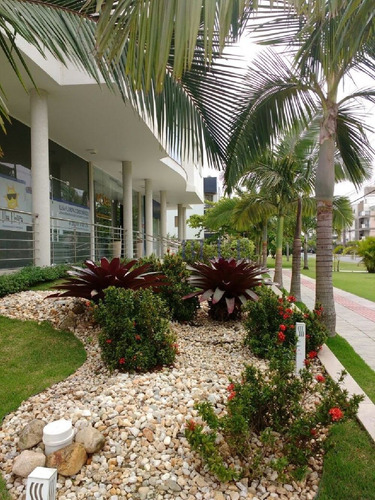 Imagem 14 de 20 de Lindo Apartamento Na Praia De Jurerê No Residen... - 916