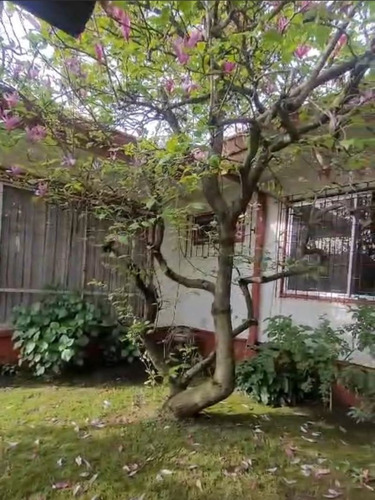 Hermosa Y Amplia Casa Gabriela Mistral