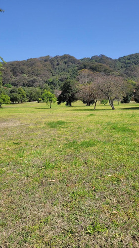 Terreno En Country Las Yungas