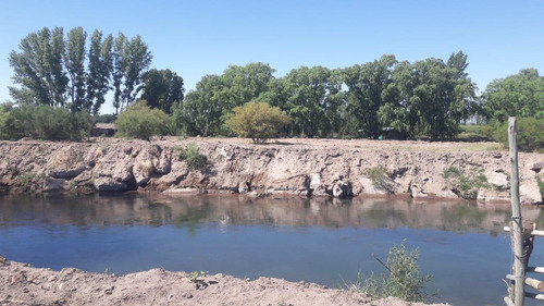 Imagen 18 de 20 de Campo En Venta 400 Ha - Colonia Elena- San Rafael - Mendoza