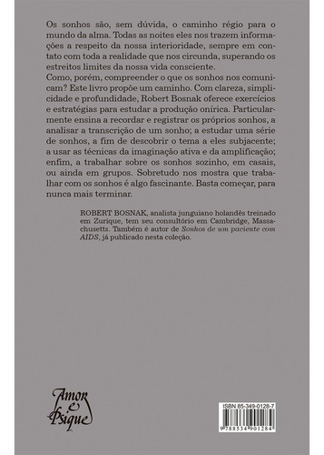 Breve Curso Sobre Sonhos - Técnica Junguiana Para Trabalhar Com Os Sonhos, De Robert Bosnak. Em Português