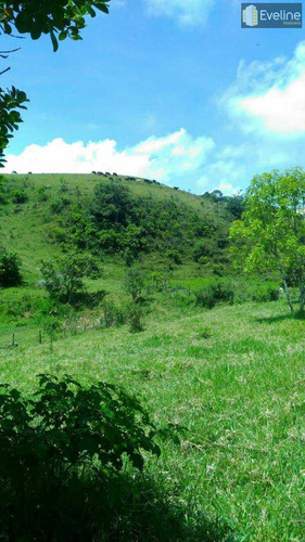 Imagem 8 de 14 de Fazenda Com 2 Dorms, Cézar De Souza, Mogi Das Cruzes - R$ 2 Mi, Cod: 722 - V722