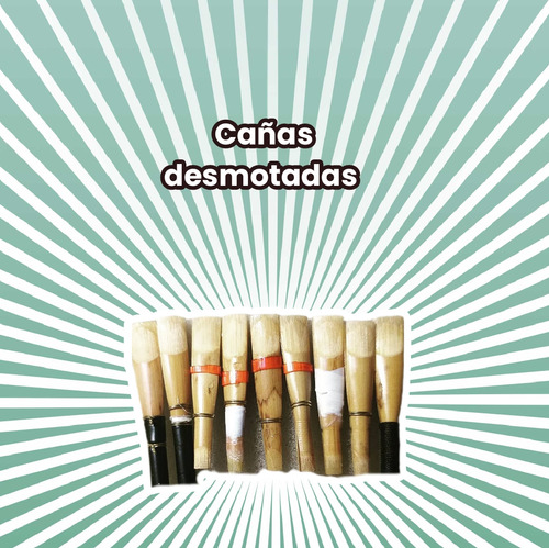 Cañas Para Oboe Con Estuche Reeds Buena Vibra