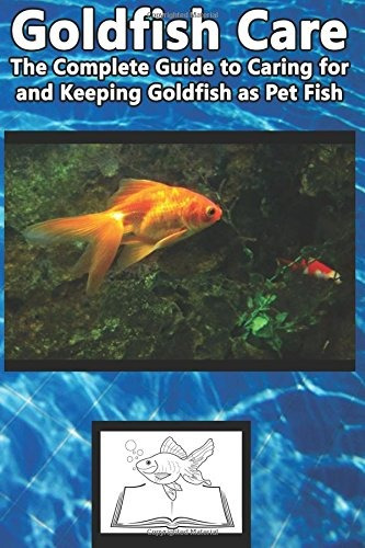 Goldfish Care The Complete Guide To Caring For And Keeping G