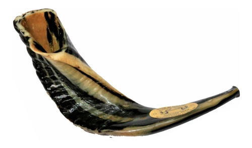 Imagem 4 de 8 de Shofar Chifre De Carneiro De Tocar - 34 A 37 Cm - De Israel