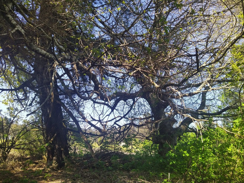 Hermosa Parcela En Venta En Gorbea
