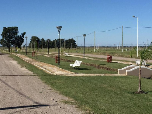 Imagen 9 de 12 de Terreno - Nueva Hermosura