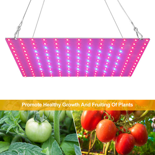 Lámpara Crecimiento Led Espectro Completo 81 Leds Para Plant