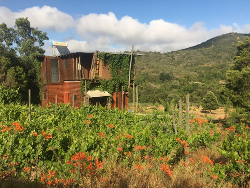 Parcela Con 2 Casas Y Una Bodega