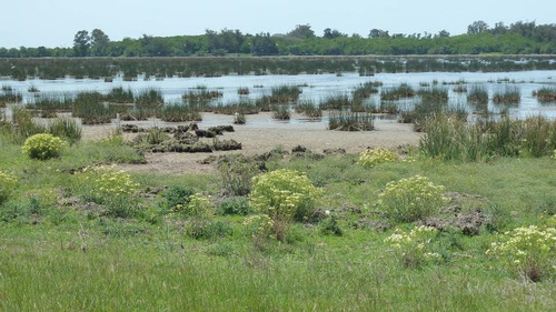 Imagen 9 de 25 de Campo En Venta En Lezama - 530 Has. Ideal Turismo Rural Con Laguna. Pesca - Retasado