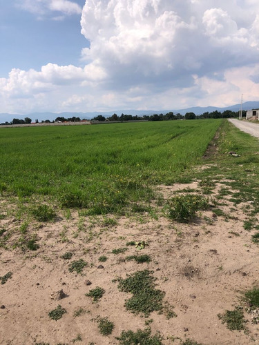 Imagen 4 de 8 de Venta Terreno De Inversión En Pachuca