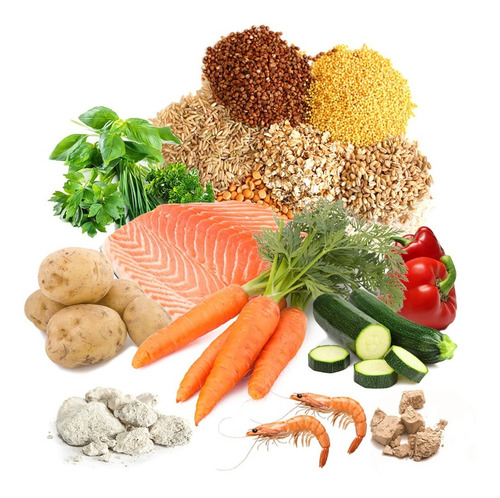 Imagen 3 de 4 de Alimento Para Tortugas Acuáticas Bebés Prodac Tartafood 75g