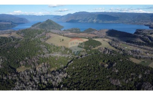 Field In Cunco Of 21.27 Ha. Incredible Opportunity