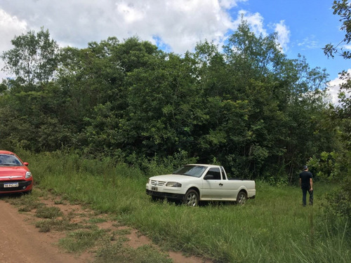 Imagen 12 de 30 de Chacra De 50 Hectáreas En Venta
