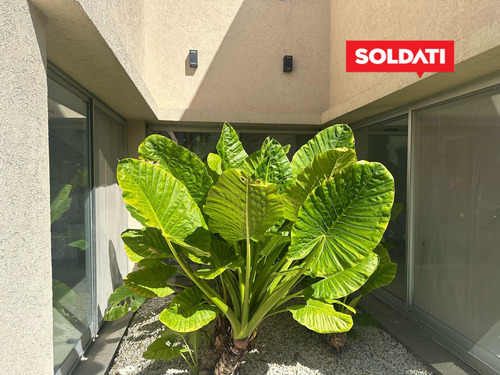 Venta 3 Cuartos Y Escritorio. Pileta, Parrilla, Piscina.