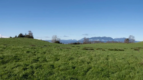 Sitio En Venta En Panguipulli