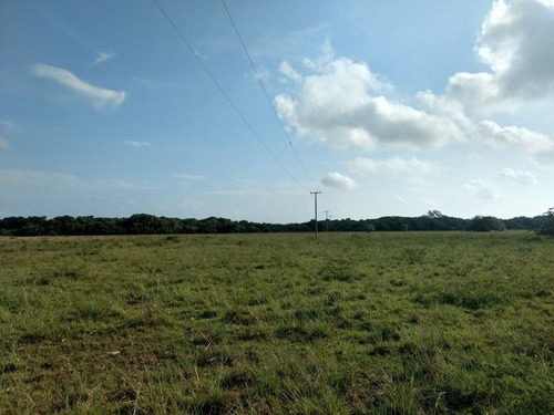 Venta Rancho 100 Has Frente A La Laguna De Tamiahua Veracruz