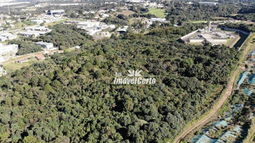 Imagem 17 de 21 de Área À Venda, 6500 M² Por R$ 3.575.000,00 - Cidade Industrial - Curitiba/pr - Ar0003