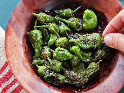 Pimenta Padron Ou Roleta Pimienta De Tapas Sementes P/ Mudas