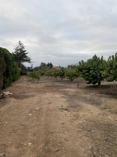 Sitio En Venta En La Serena, Alfalfares Oriente