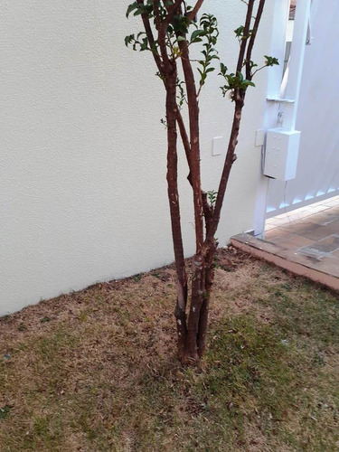 Imagem 4 de 15 de Casa - Padrão, Para Venda Em Uberlândia/mg - 1001602