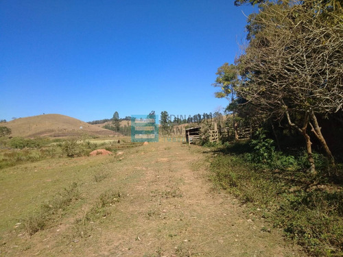 Imagem 11 de 15 de Edinaldo Santos - Bairro Igrejinha, Granja De 1.750 M2 Com Grande Lago - 1039