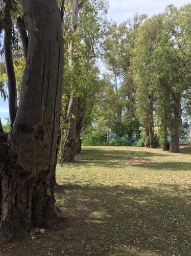 Casa En Alquiler En Santa Elena, Pilar Del Este, Pilar