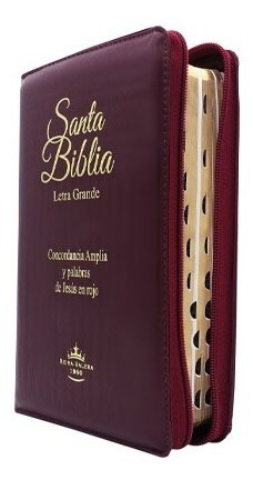 Imagen 1 de 3 de Biblia Reina Valera 1960 Letra Grande Cierre Indice Piel