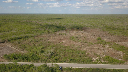 Terreno En Venta En Yucatán, Ideal Para Desarrollo