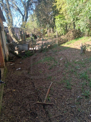 Imagem 2 de 2 de Terreno - Te00321 - 70461103